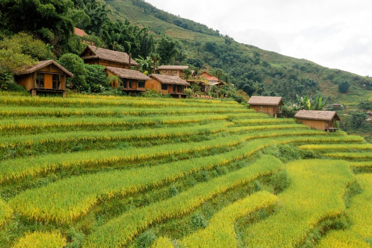 Hotel Eco Palms House - Sapa Retreat Exteriér fotografie