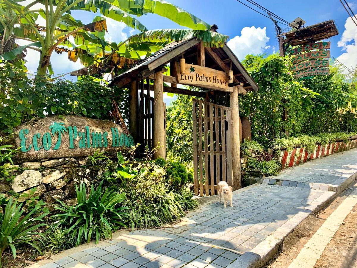 Hotel Eco Palms House - Sapa Retreat Exteriér fotografie